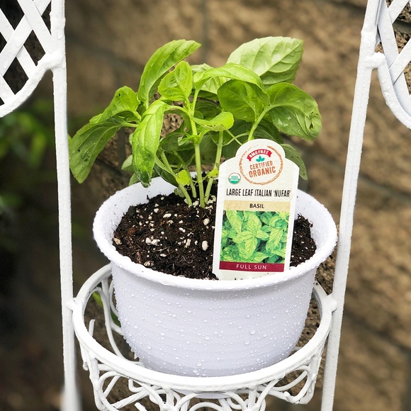 White 6” Plastic Round Drainage Plant Pot Saucer Tray - SET OF 2 - Picture 6 of 9